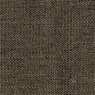 Archetype - Image 11