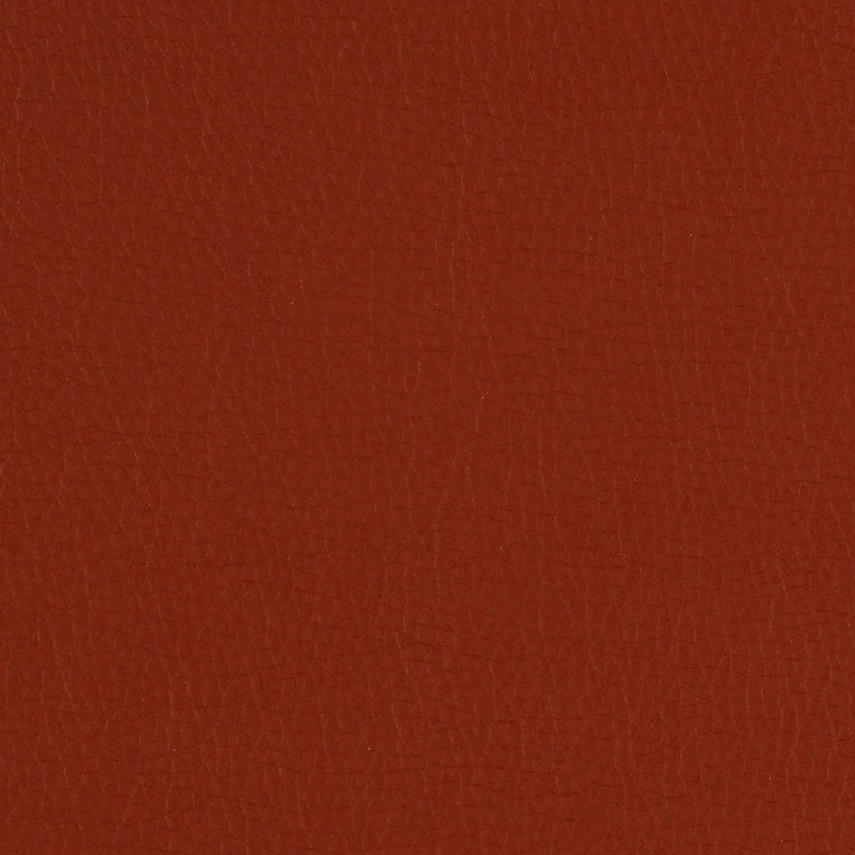 Canter EPU - Image 2