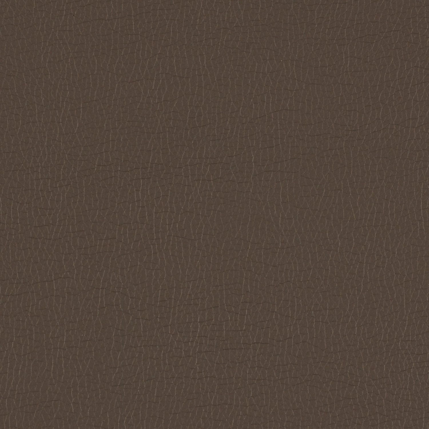 Canter EPU - Image 5