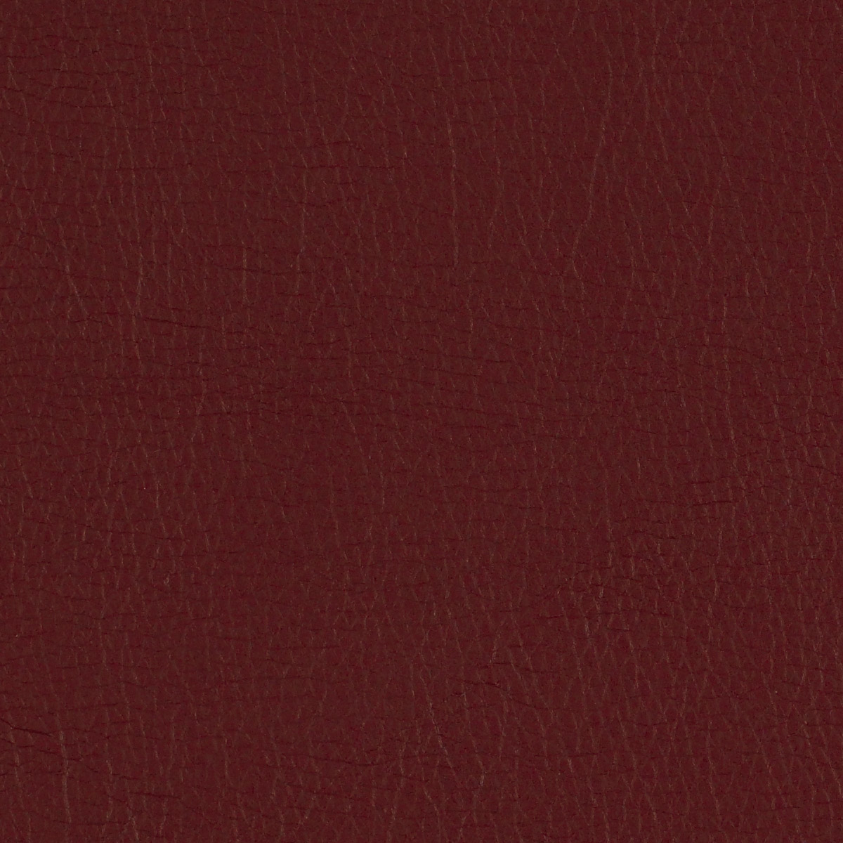 Canter EPU - Image 7