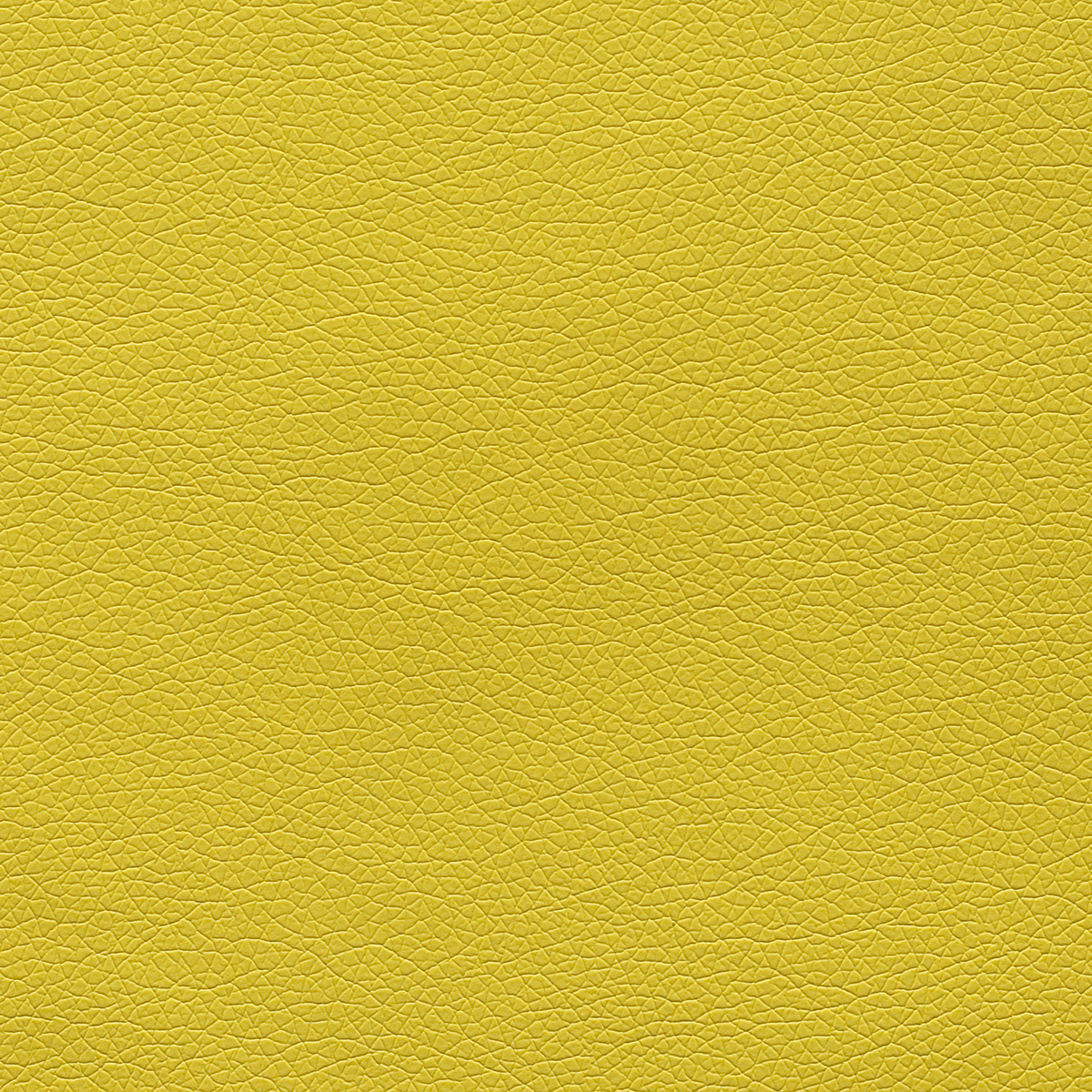 Canter EPU - Image 10