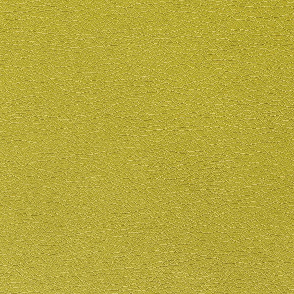 Canter EPU - Image 18