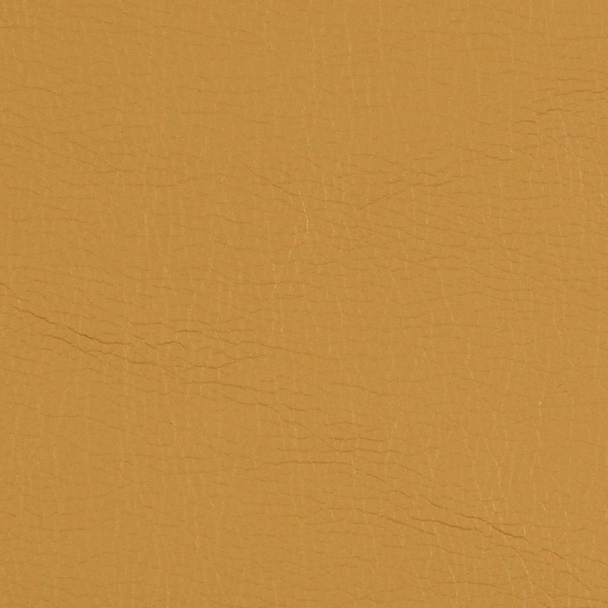 Canter EPU - Image 31