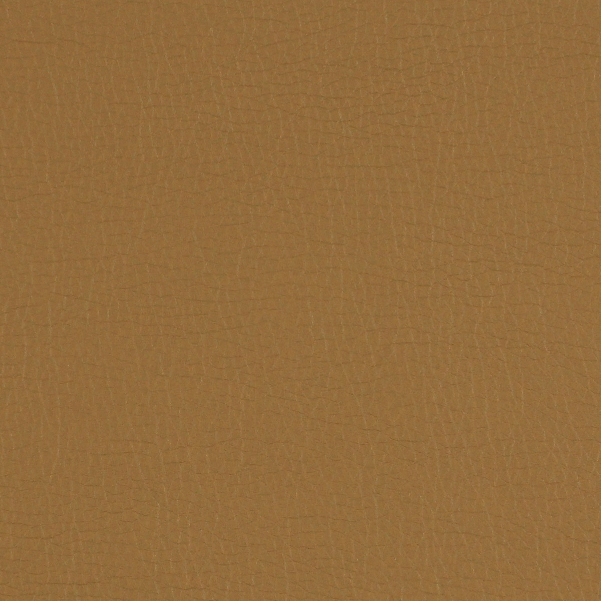 Canter EPU - Image 32