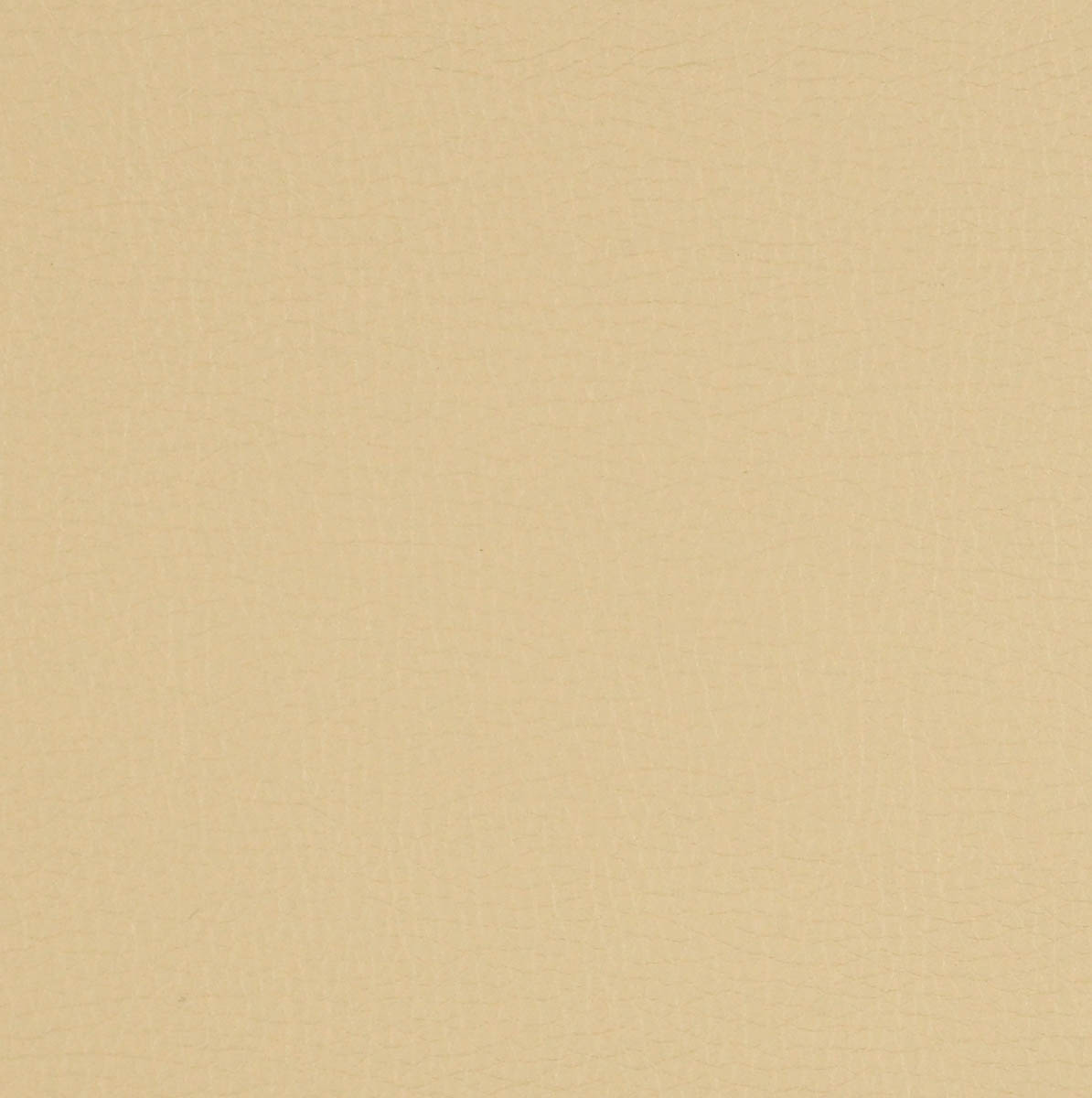 Canter EPU - Image 33