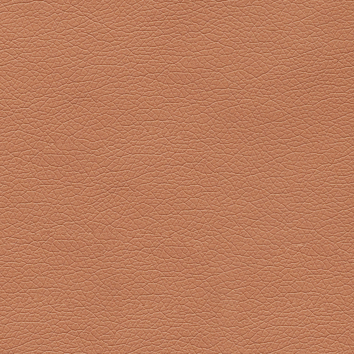 Canter EPU - Image 47