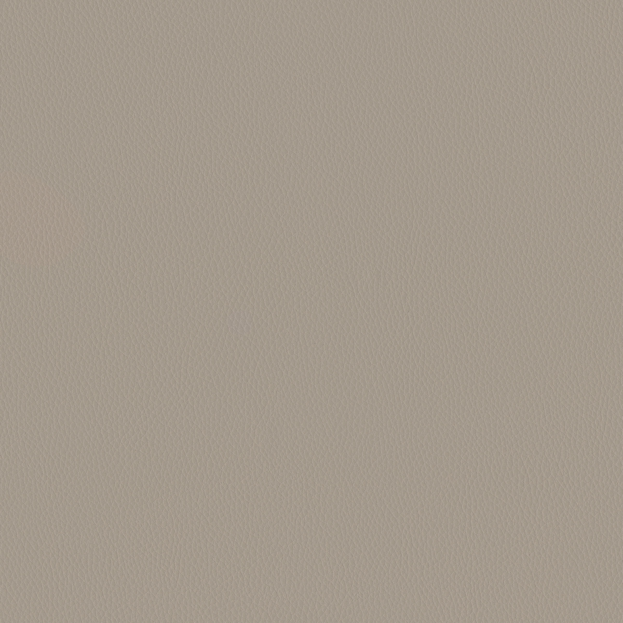 Carson CV - Image 12