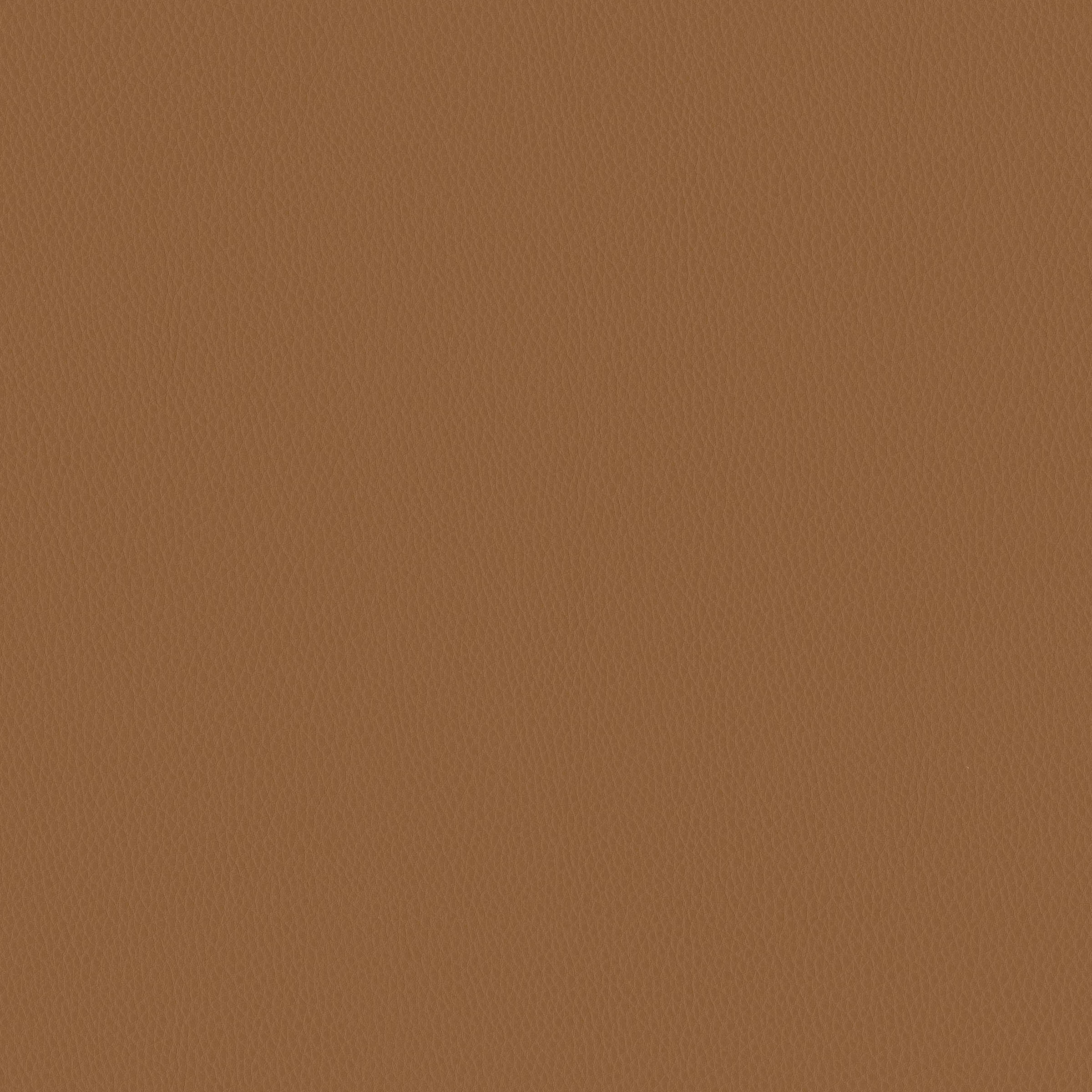 Carson CV - Image 11