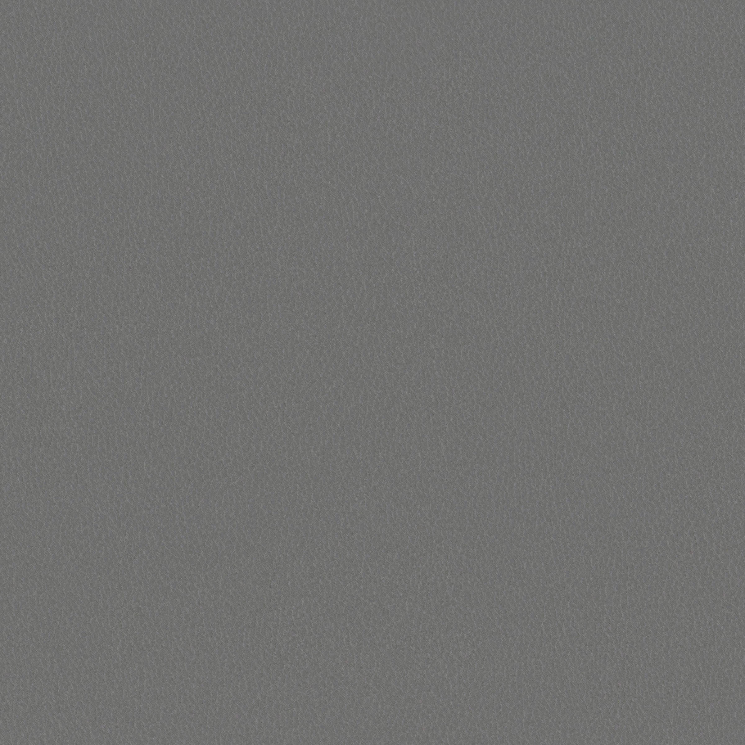 Carson CV - Image 10