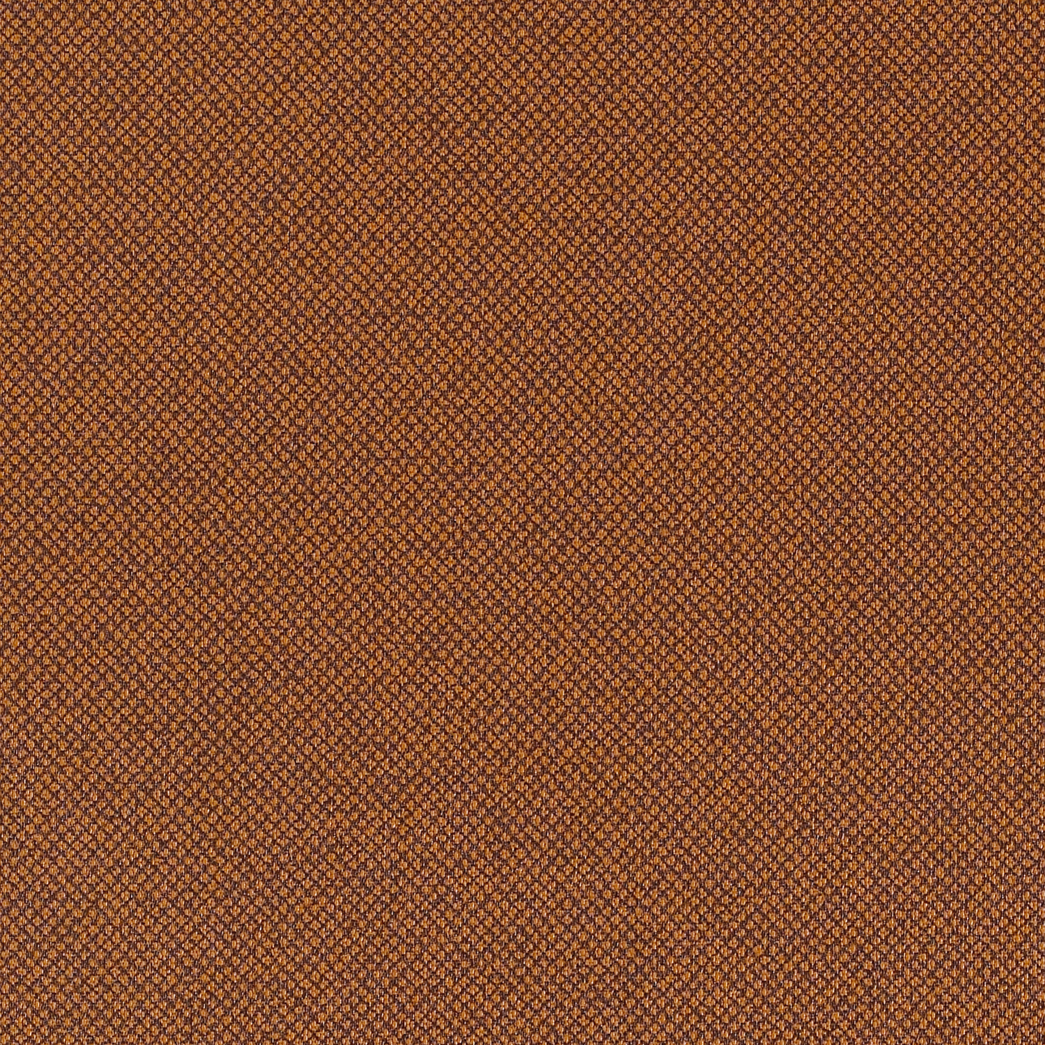 Tribeca CV - Image 20