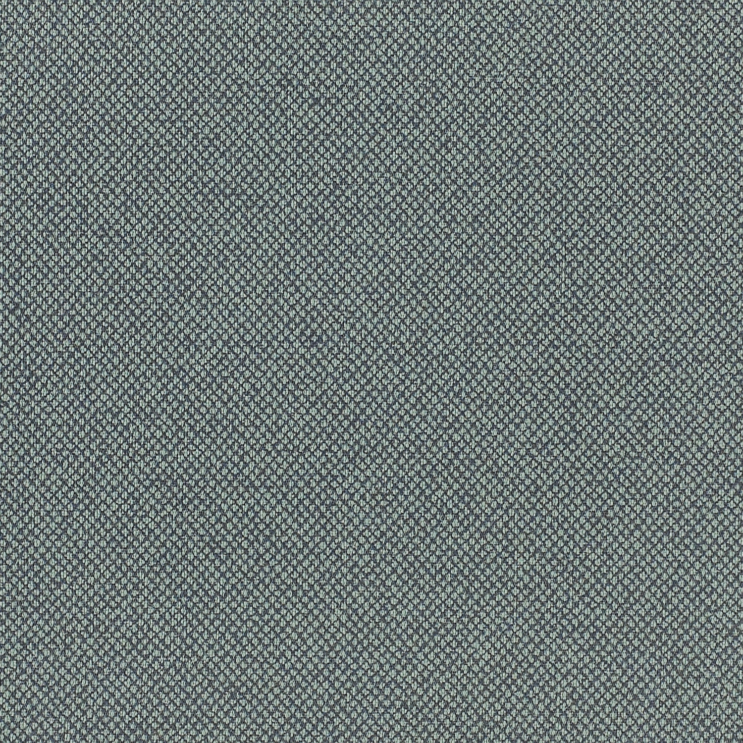 Tribeca CV - Image 3