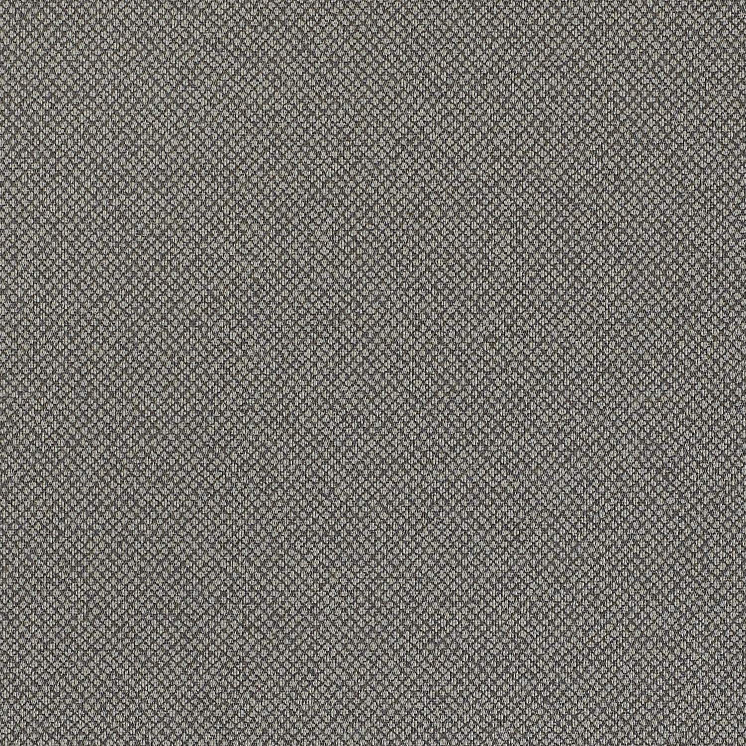 Tribeca CV - Image 7