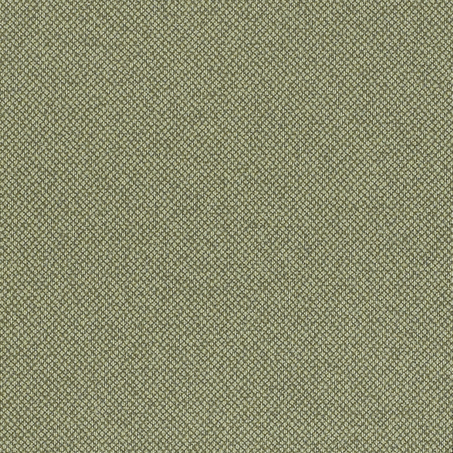 Tribeca CV - Image 11