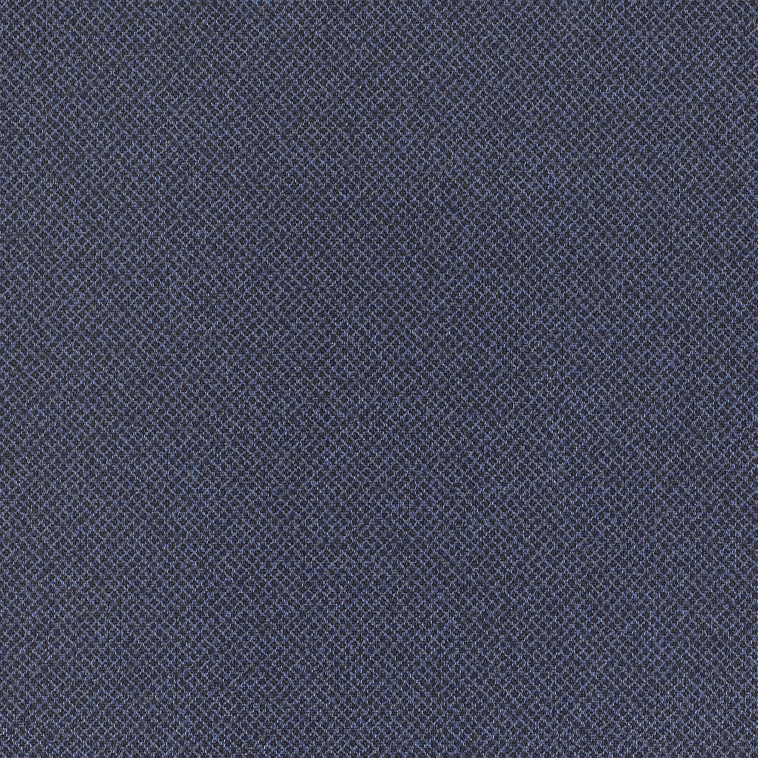 Tribeca CV - Image 12