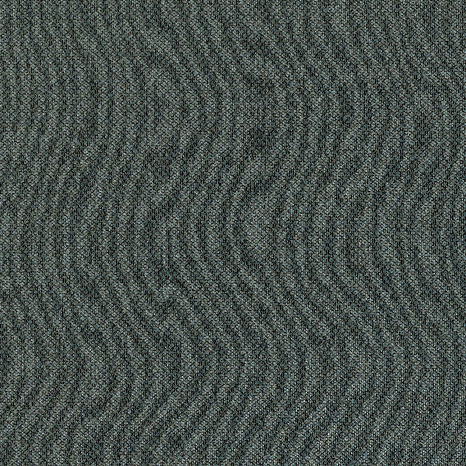 Tribeca CV - Image 14