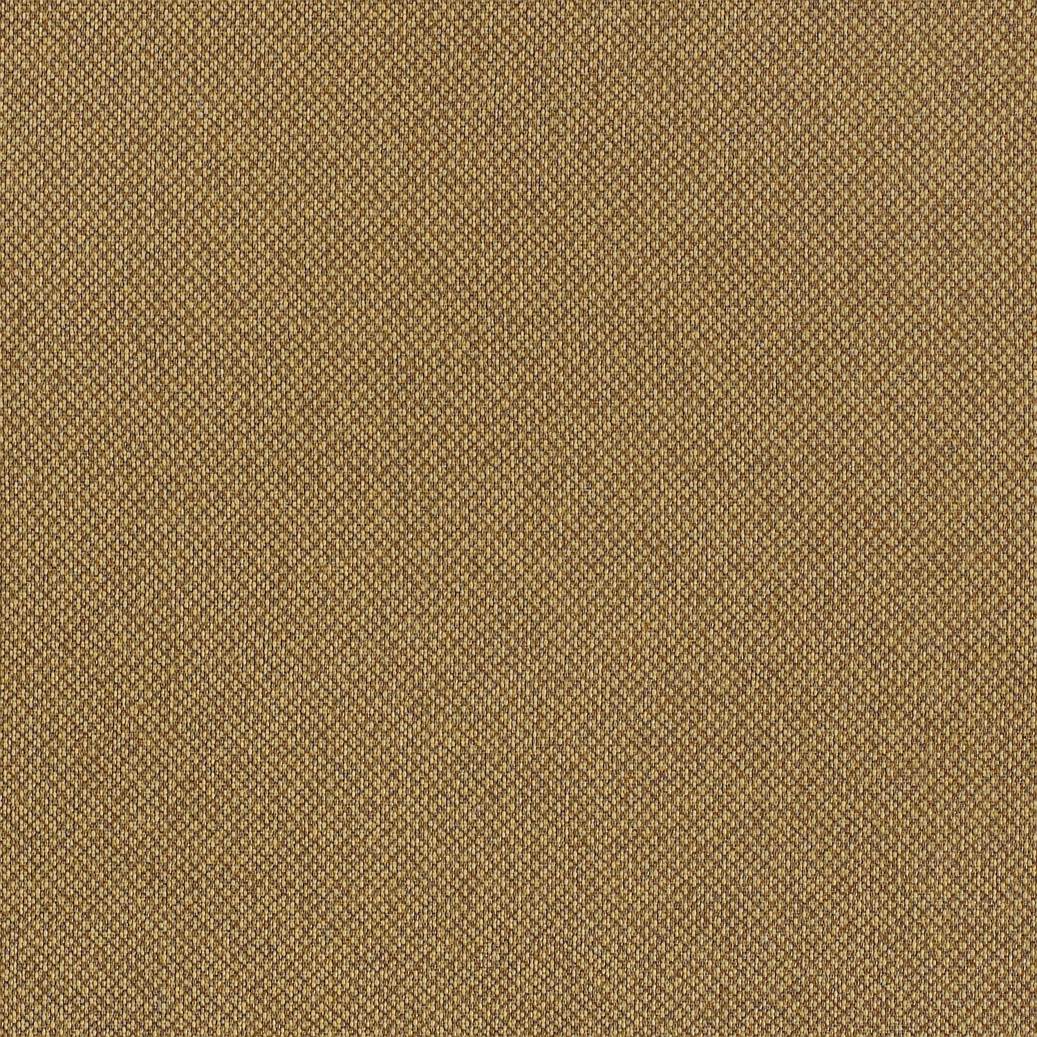 Tribeca CV - Image 15