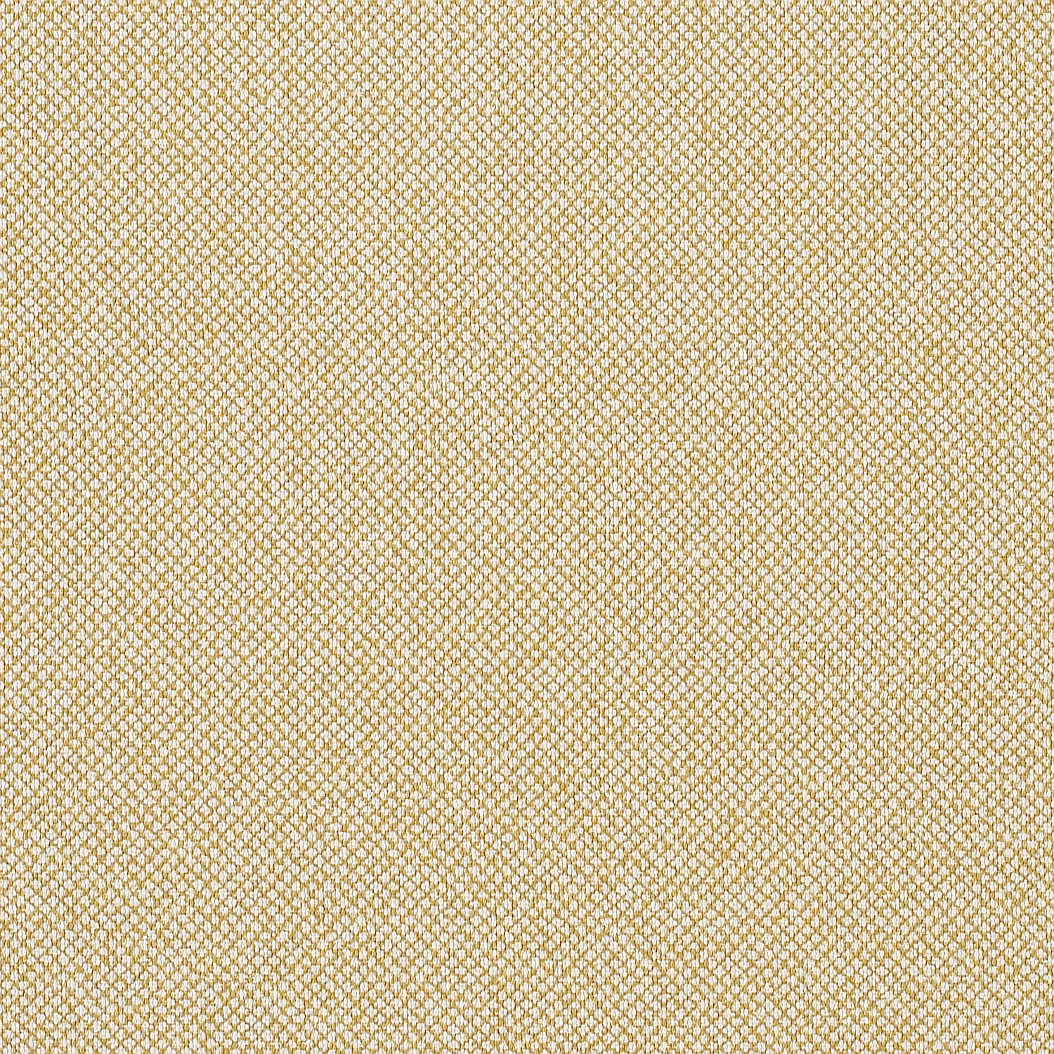 Tribeca CV - Image 18