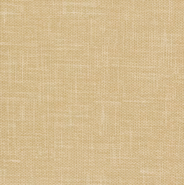 Vanguard CV - Image 18