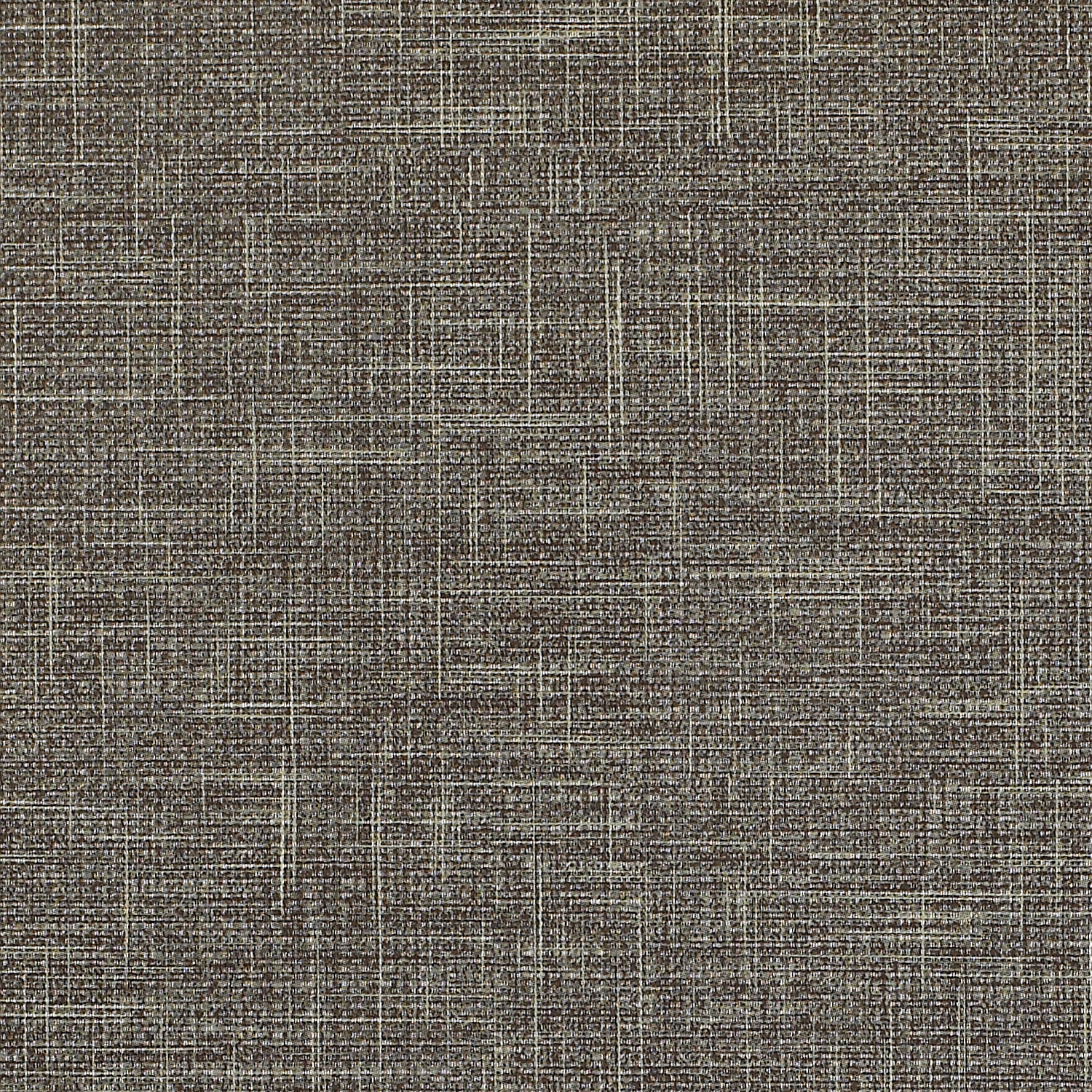 Vanguard CV - Image 4