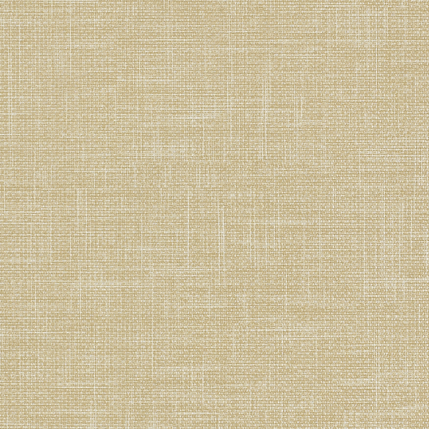 Vanguard CV - Image 5