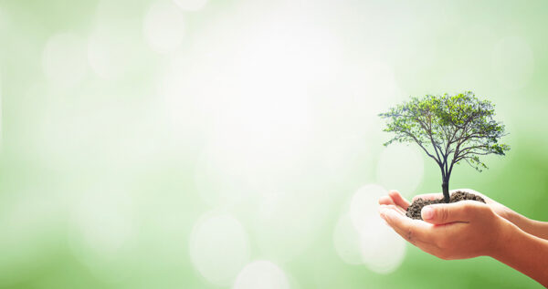 Sustainability Sustainability