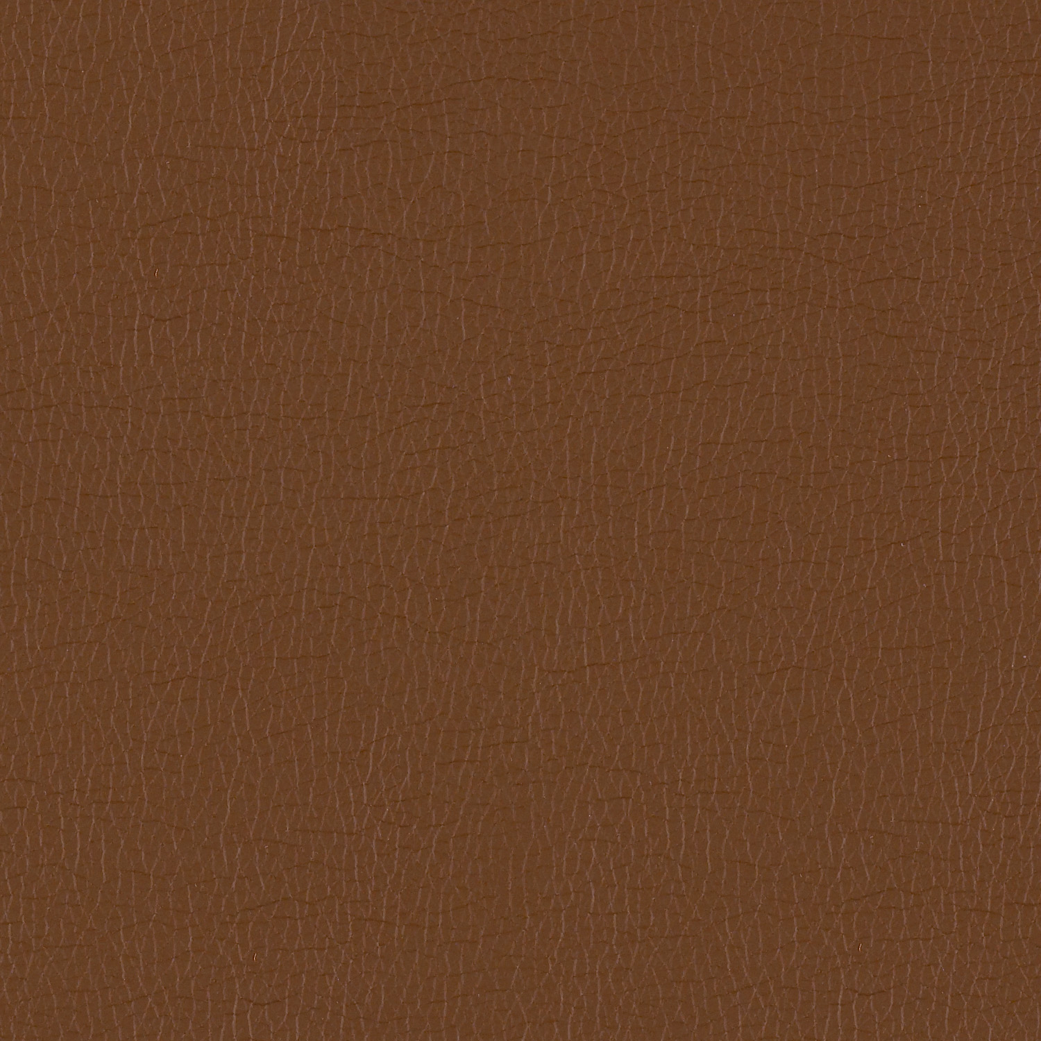 Canter EPU - Image 8