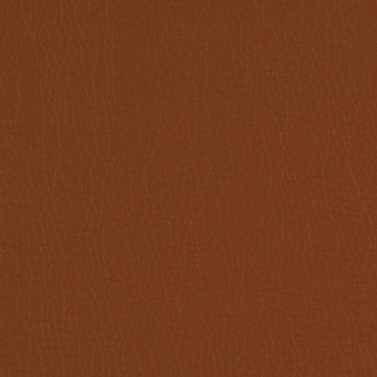 Canter EPU - Image 9