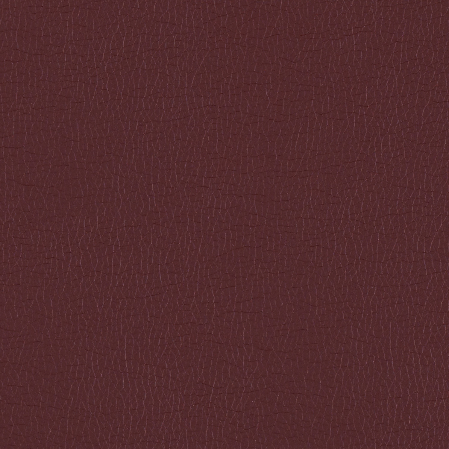 Canter EPU - Image 11