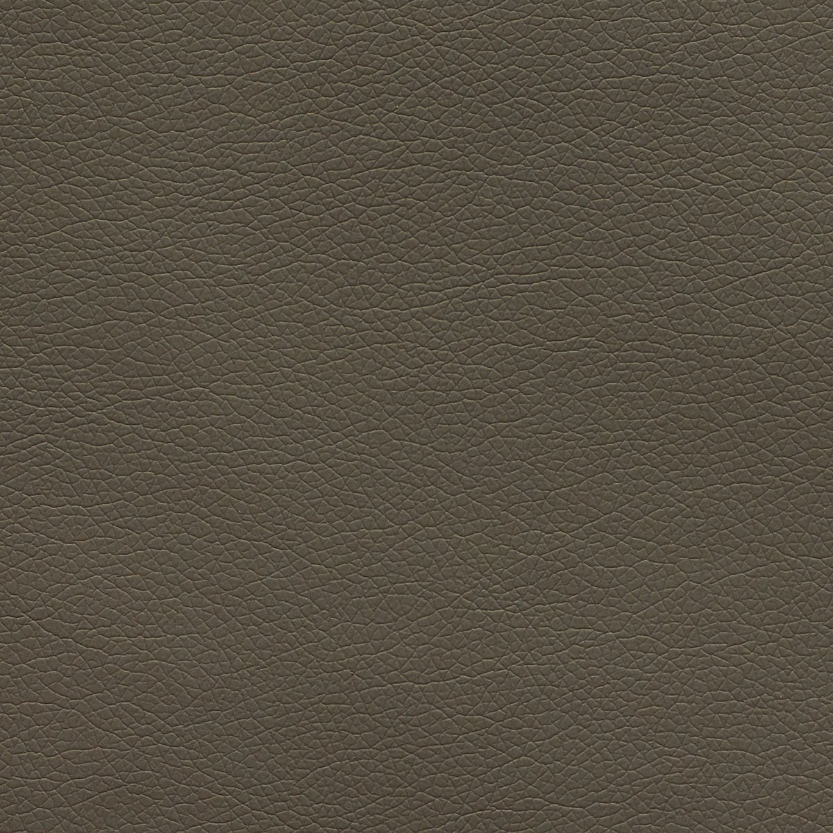 Canter EPU - Image 15