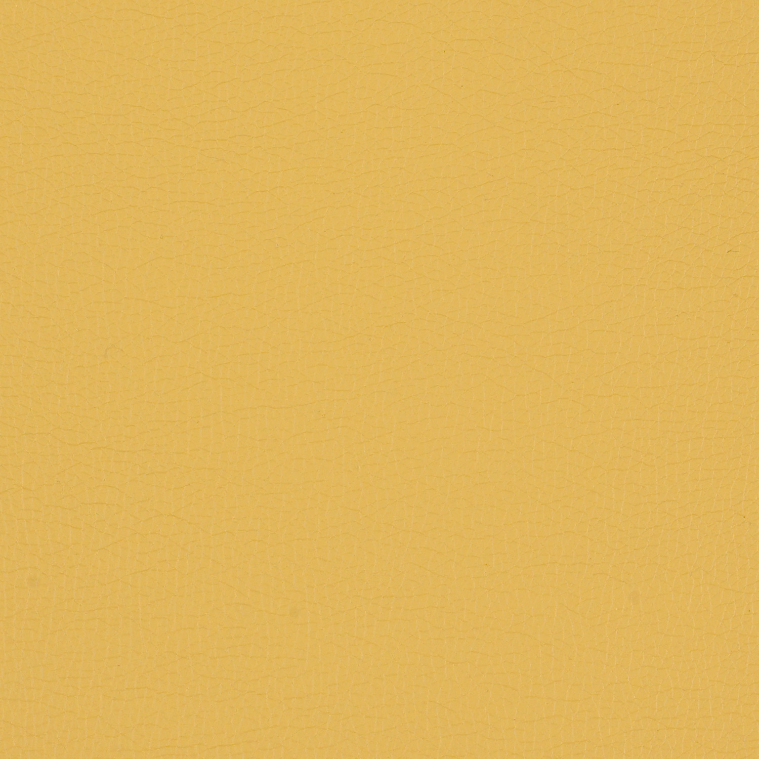 Canter EPU - Image 20