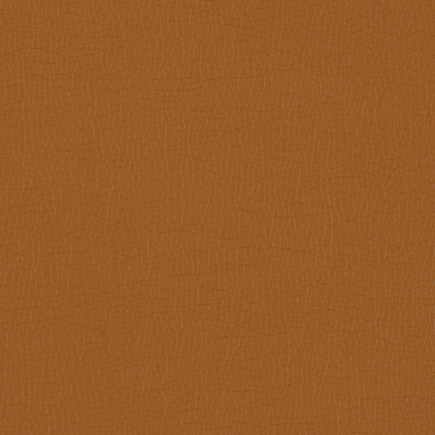 Canter EPU - Image 41