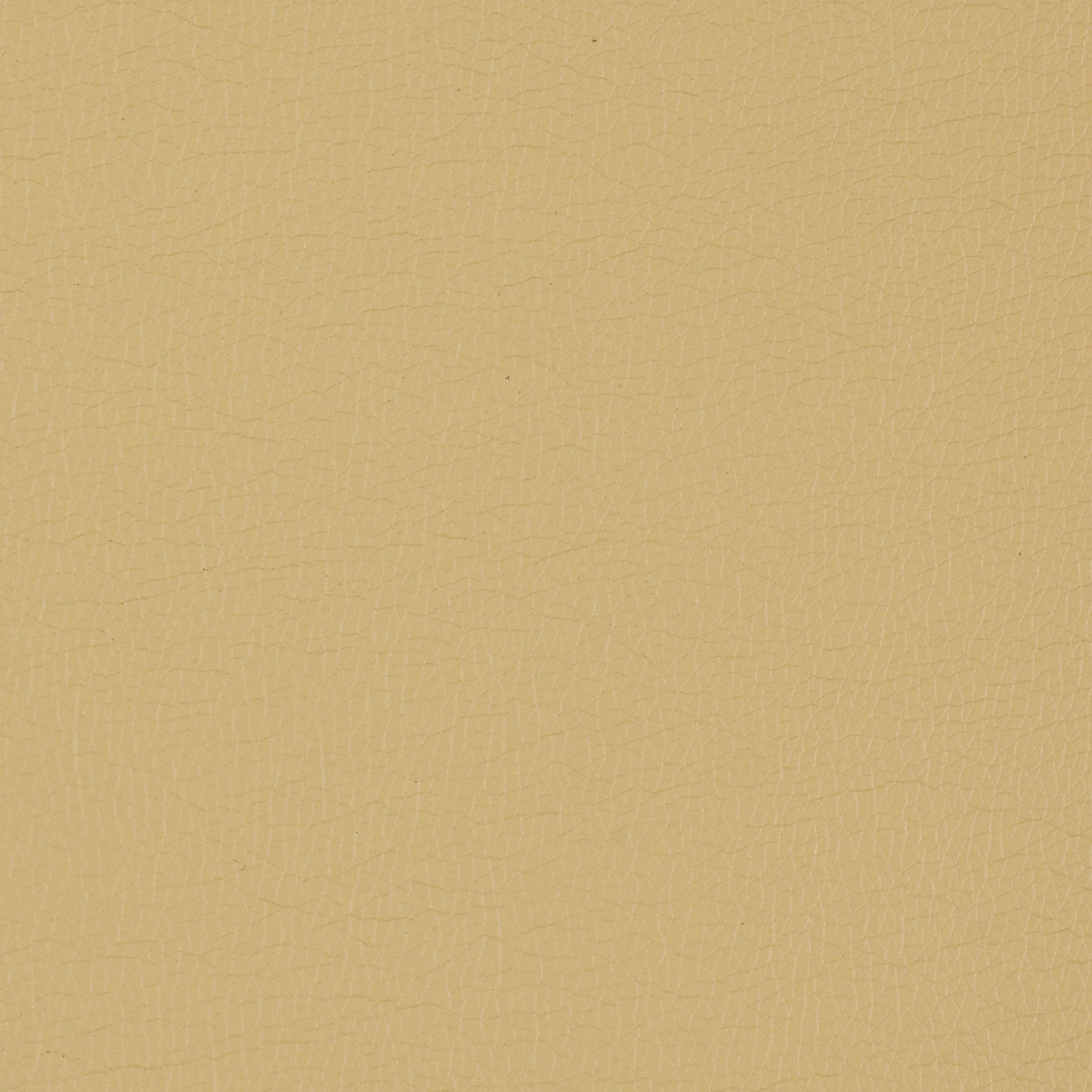 Canter EPU - Image 42