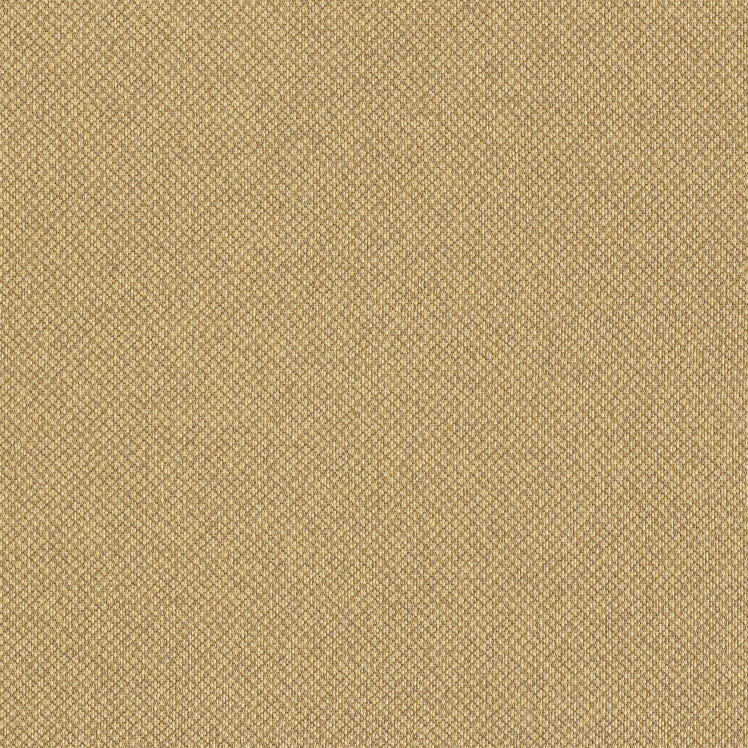 Tribeca CV - Image 2