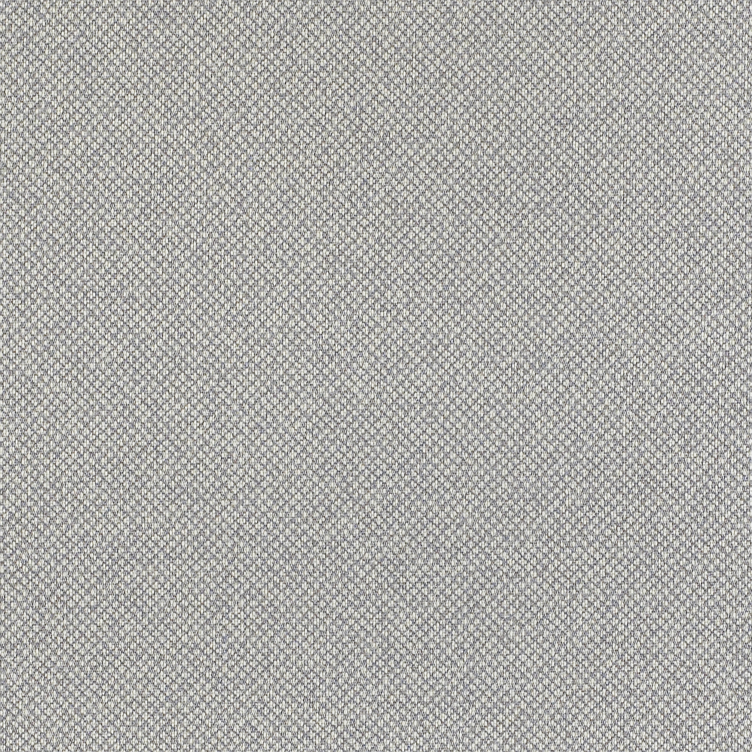 Tribeca CV - Image 4