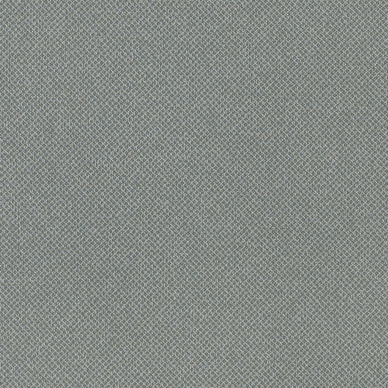 Tribeca CV - Image 5