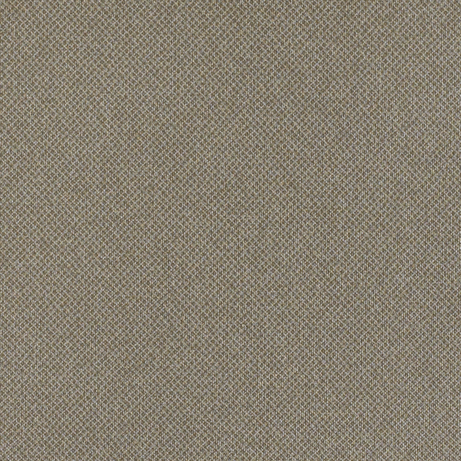 Tribeca CV - Image 8