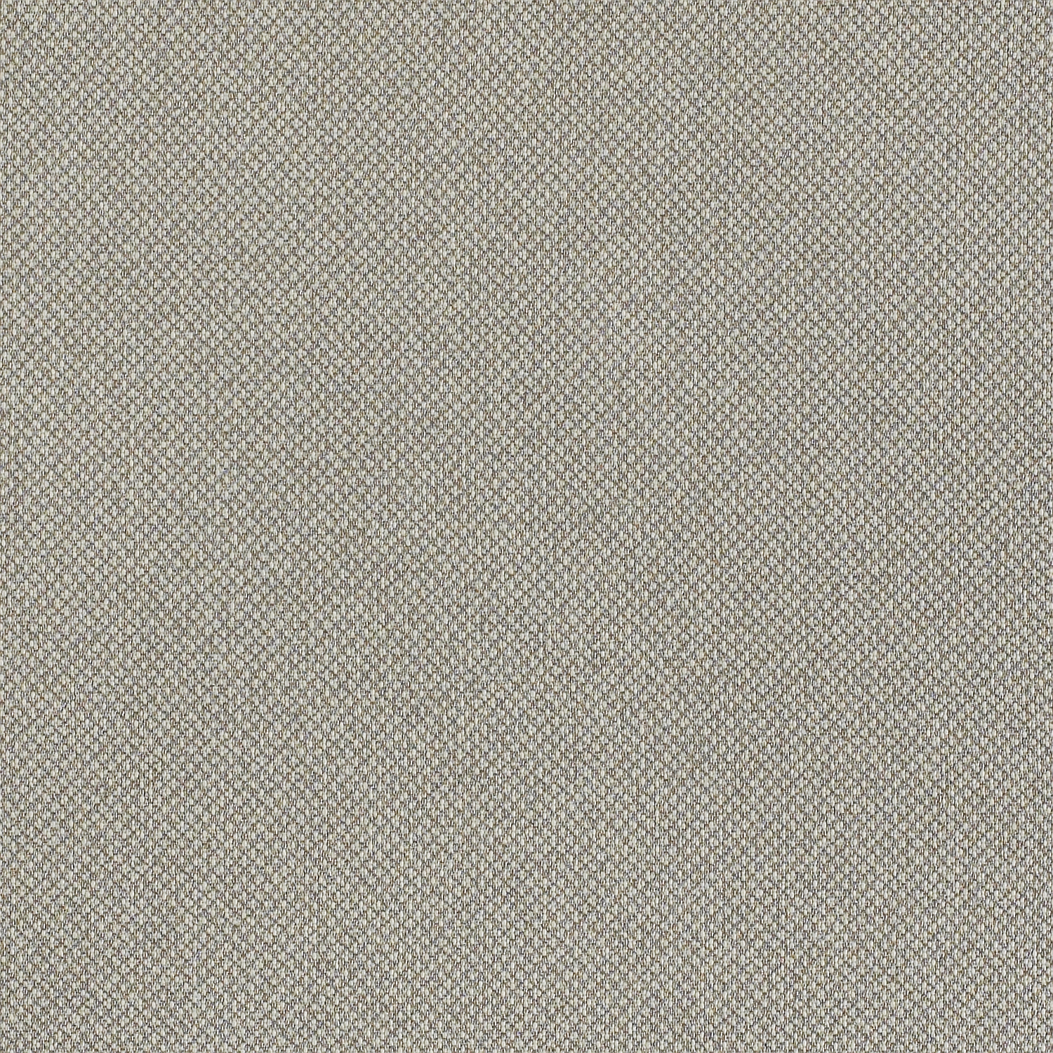 Tribeca CV - Image 13