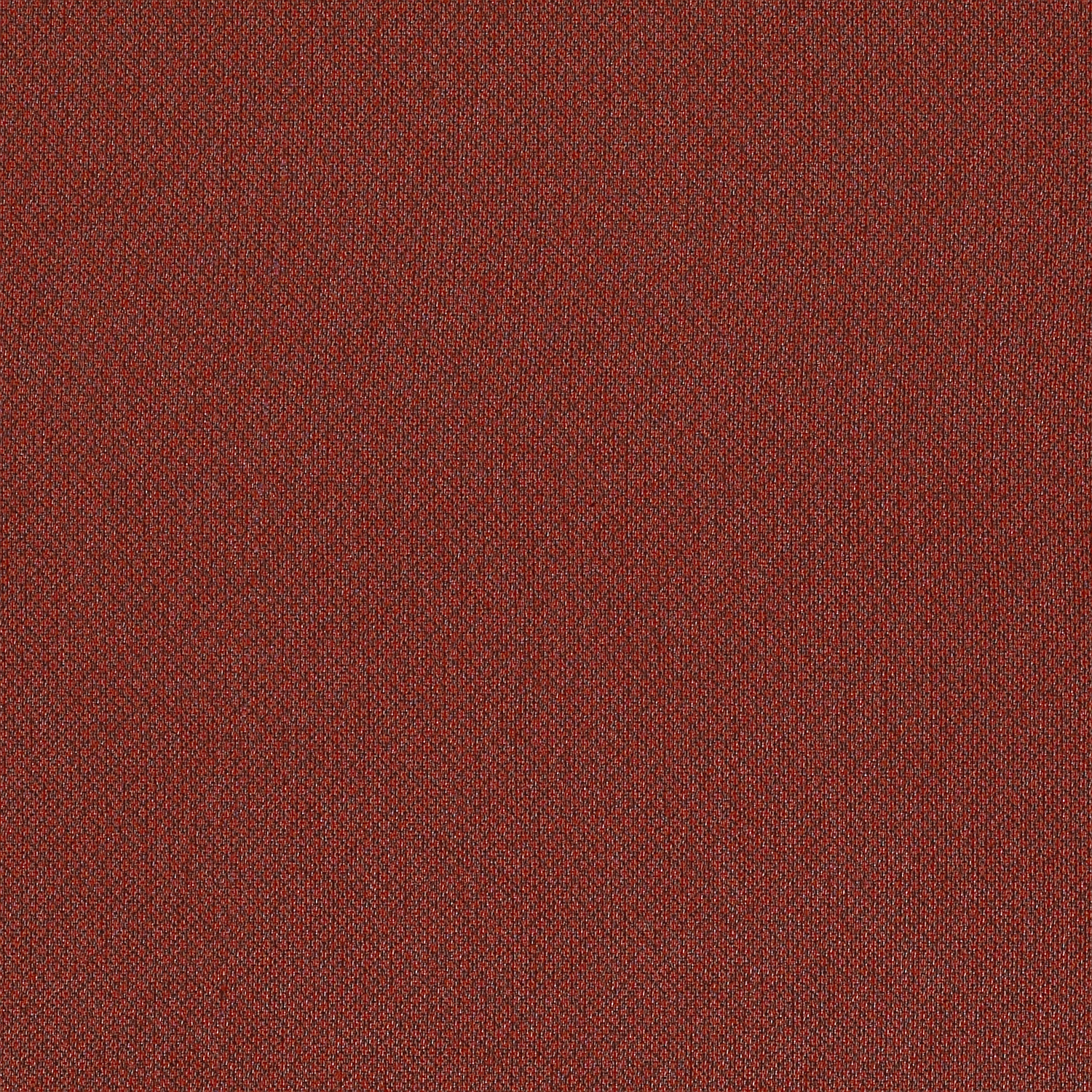 Tribeca CV - Image 16