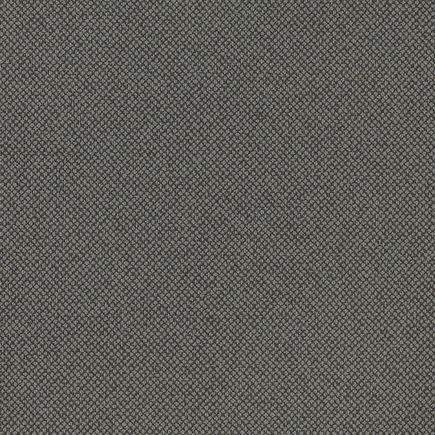 Tribeca CV - Image 17