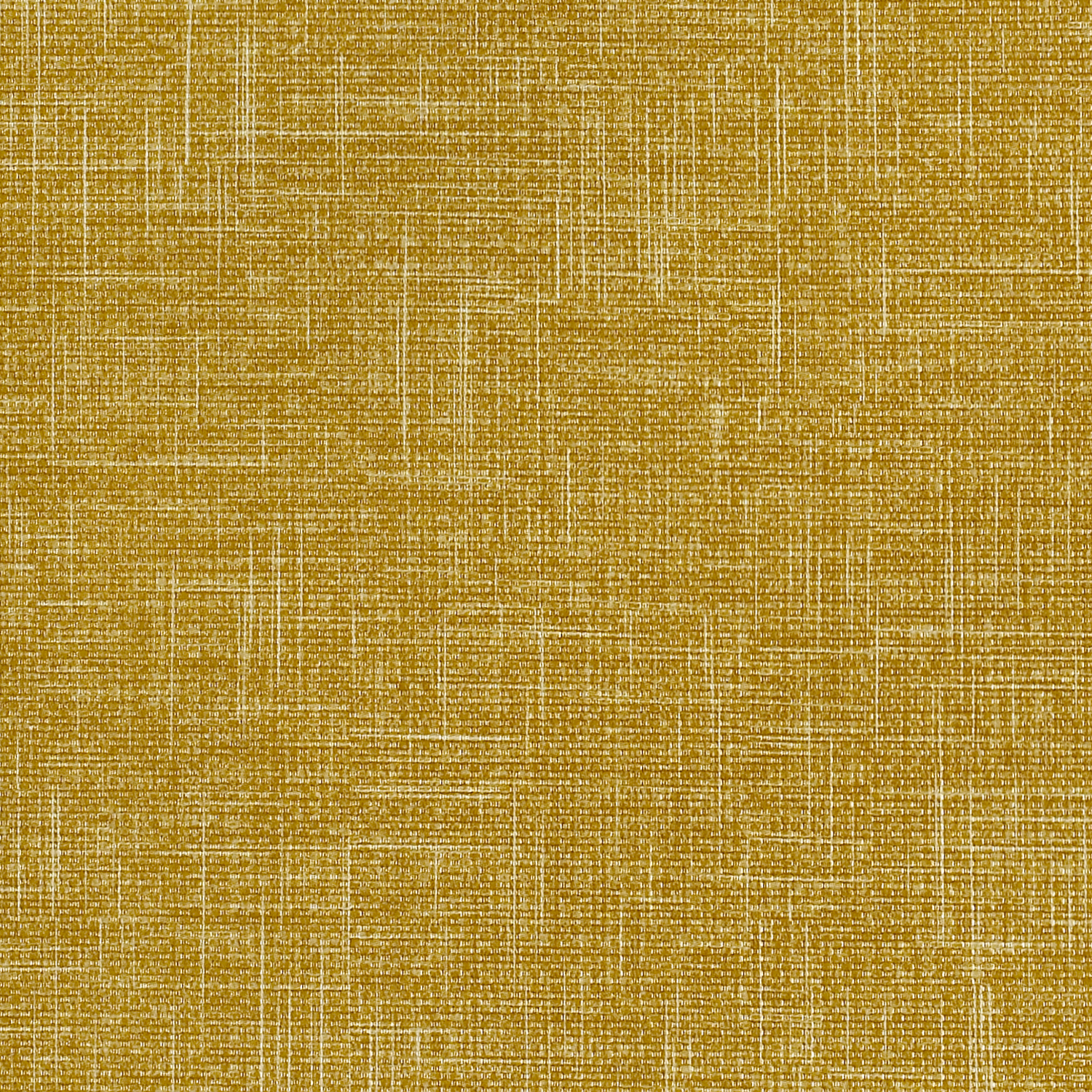 Vanguard CV - Image 8