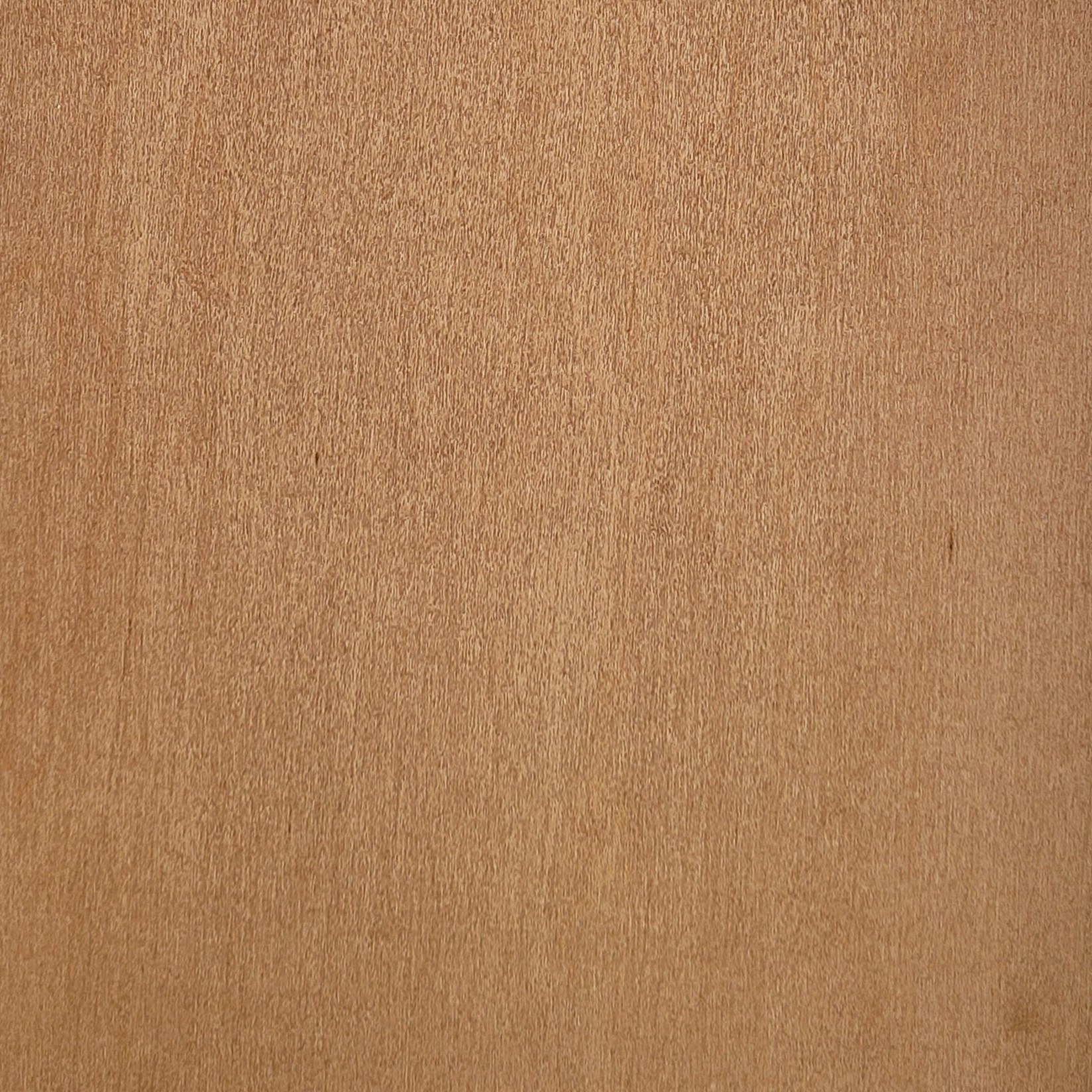 Pecan on Maple